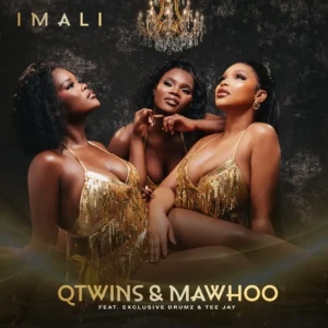 Q Twins & Mawhoo - Imali (feat. Exclusive Drumz & Tee Jay)