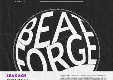 QubiqueSmall - Leakage