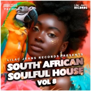 VA - South African Soulful House Vol. 8