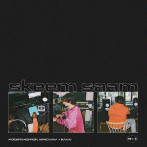 Modern Horror, Mpho.Wav & Bakai - skeem saam &bull; Download MP3