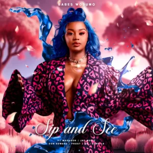 Babes Wodumo - Sip and See (feat. Madanon, Jay Music, Don Edward & Frost) Babes Wodumo - Sip and See (feat. Madanon, Jay Music, Don Edward & Frost)