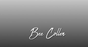 Bee Collen – Pasop (Original Mix)