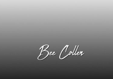 Bee Collen - Pasop (Original Mix)