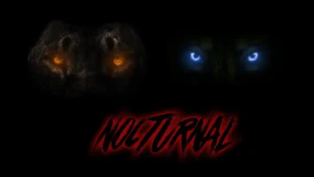 Dwson & !Sooks - Nocturnal