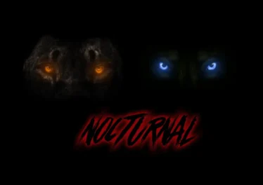 Dwson & !Sooks - Nocturnal Dwson & !Sooks - Nocturnal