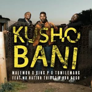 Malemon, Tumilemang & King P - Kusho Bani (feat. DBN Gogo & Mr Nation Thingz)