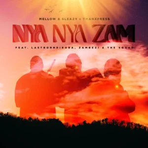 Mellow & Sleazy & Tman Xpress - Nya Nya Zam (feat. Lastborn Diroba, Zambezi & The Squad)
