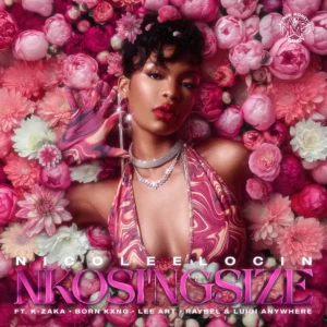 Nicole Elocin - Nkosi'ngsize (feat. K-Zaka, Born Kxng, LeeArt & DJ Raybel) Nicole Elocin - Nkosi'ngsize (feat. K-Zaka, Born Kxng, LeeArt & DJ Raybel)