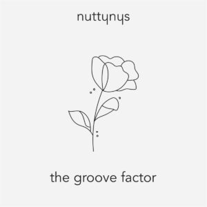 Nutty Nys - The Groove Factor Nutty Nys - The Groove Factor