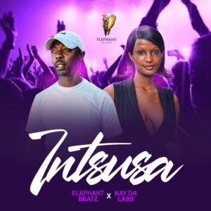 Elephant Beatz - Intsusa (feat.Kay Da lass) Cover Art