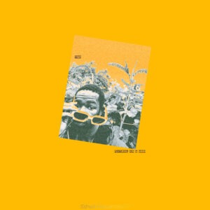 Yimi! - S'shwili Frequencies EP Cover Art