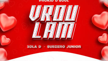 Prokid D'Soul, Xola D & Subzero Junior - Vrou Lam Cover Art