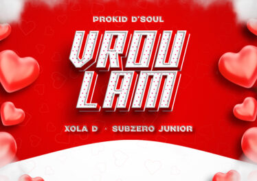 Prokid D'Soul, Xola D & Subzero Junior - Vrou Lam Cover Art