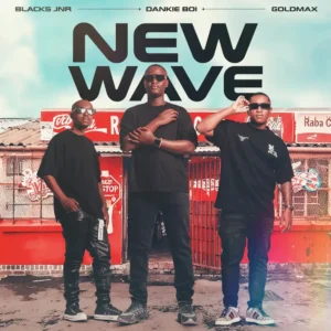 Blacks Jnr, Dankie Boi & Goldmax - New Wave (Album)