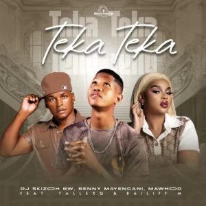 DJ Skizoh BW, Benny Mayengani, MaWhoo & TallexQ - Teka Teka (feat. Bailiff M)