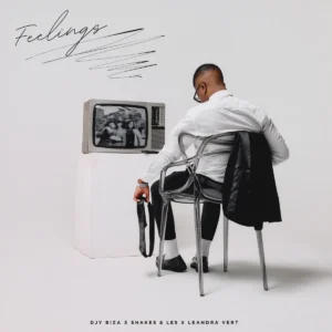 Djy Biza & Shakes & Les - Feelings (feat. Leandra.Vert)