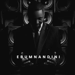 Shaun Stylist - Ebumnandini (Album)