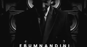 Shaun Stylist – Ebumnandini (Album)