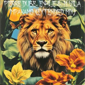 Pierre Dube, Enhle & M Vila - Impakamo Cover Art