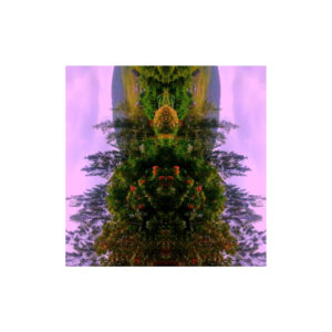 Yimi! - unicorn park Yimi! - unicorn park Cover Art