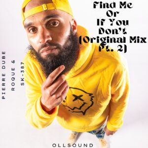 Pierre Dube, Roque & sk-387 - Find Me Or If You Don't (Original Mix Pt 2) Cover Art