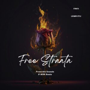 Pronickle Soundz & Mok Beatz - Free Straata Cover Art