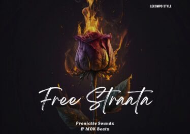 Pronickle Soundz & Mok Beatz - Free Straata Cover Art