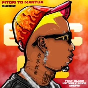 DJ Buckz - Pitori to Mantua (feat. Black Motion & Spice Drums)