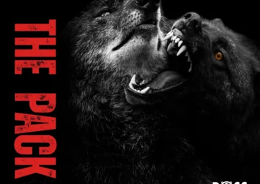 Geezzi DeepSoul & Mr Shane SA - The Pack