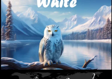 Gladiators Deep SA & MaLoko Pro - White EP