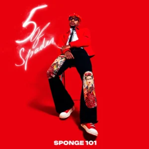 Sponge 101, DBN Gogo & Msongi - Bazozwa