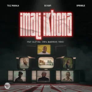 Tulz Madala, DJ Kafi & Springle - Imali Ikhona (feat. Olley RSA, C'biya, Makhives101 & Fierce)