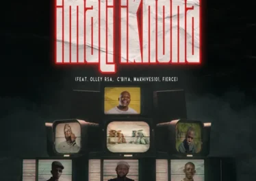 Tulz Madala, DJ Kafi & Springle - Imali Ikhona (feat. Olley RSA, C'biya, Makhives101 & Fierce)