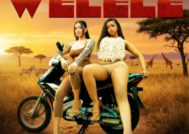 TxC, Mavo & Shoday - Welele (feat. Leemckrazy, RALD, W4de & Al Xapo)