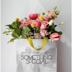 Vico Da Sporo & Zelule zn - Something Special