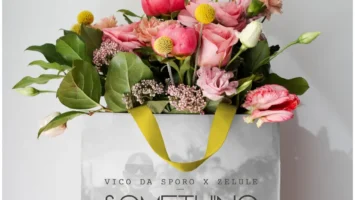 Vico Da Sporo & Zelule zn - Something Special