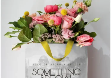 Vico Da Sporo & Zelule zn - Something Special