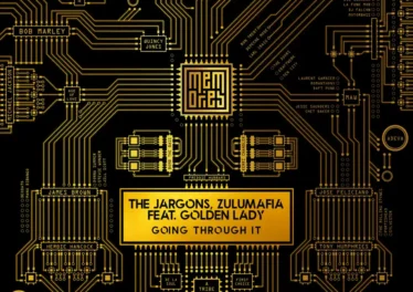 The Jargons & ZuluMafia - Going through it (Main Mix) (feat. Golden Lady)