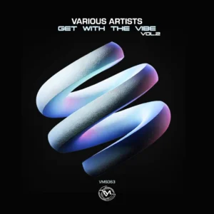 VA - Get with the Vibe, Vol. 2 • Download MP3