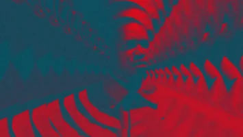 Marcus MC - GVO EP