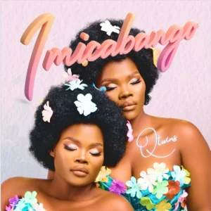 Q Twins - Imicabango (Album)