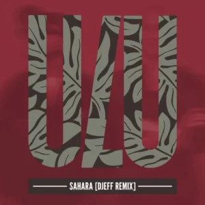 Robin M - Sahara (DJEFF Remix)