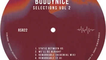Buddynice - Selections Vol. 2