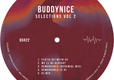 Buddynice - Selections Vol. 2