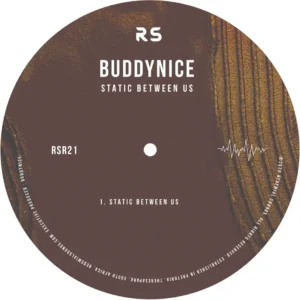 Buddynice - Static Between Us