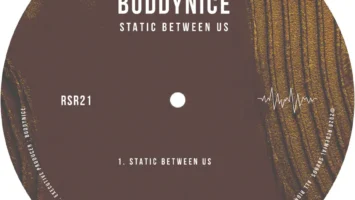 Buddynice - Static Between Us
