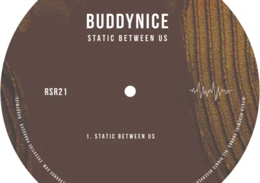 Buddynice - Static Between Us