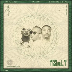 Earful Soul - iMali (feat. Da Capo & Mthandazo Gatya)