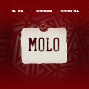 JL SA, Msongi & COON SA - MOLO