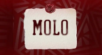 JL SA, Msongi & COON SA – MOLO